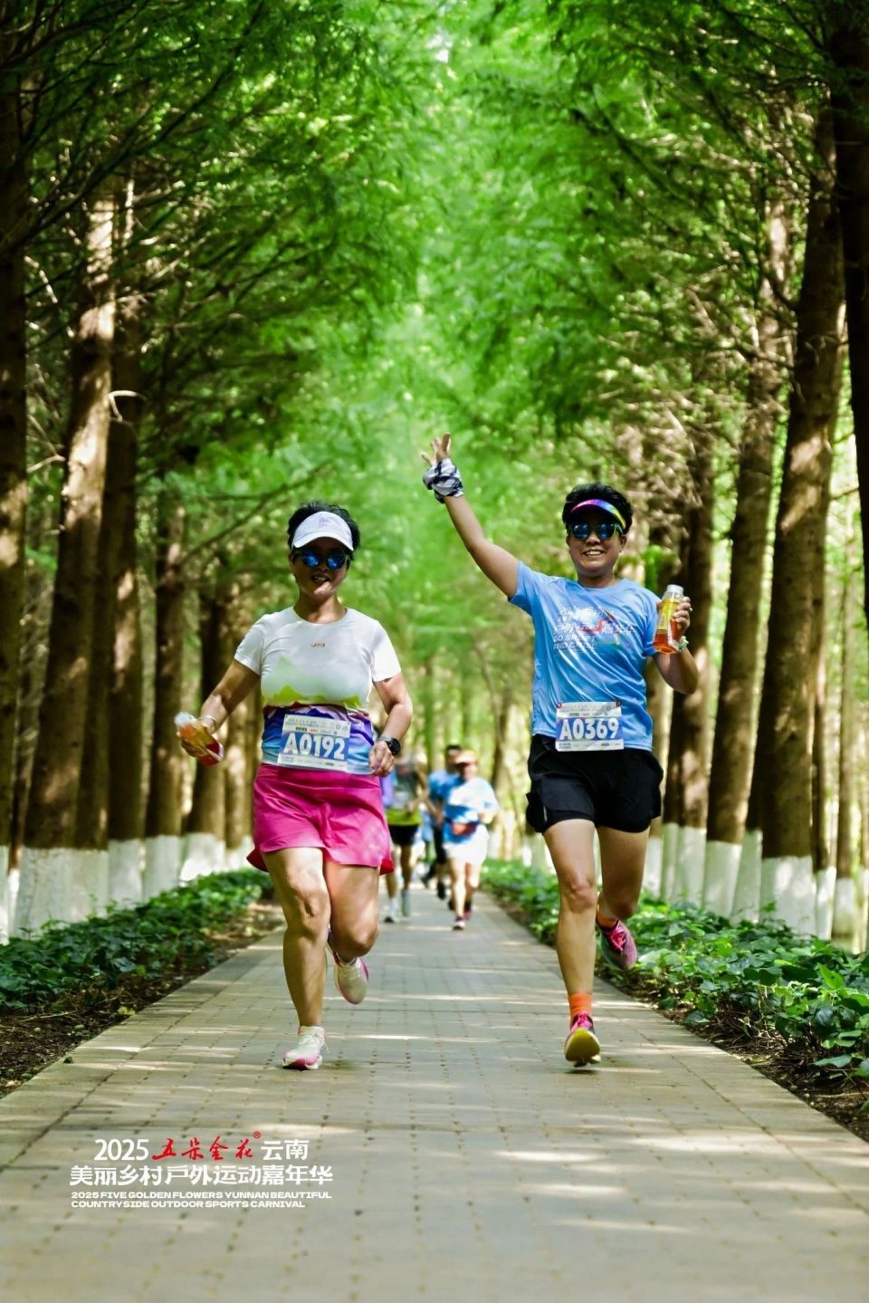 古渔村, bacdD, 家战略的生 古渔村, bacdD, 家战略的生