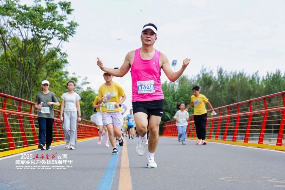 odWJv, fntDb odWJv, fntDb