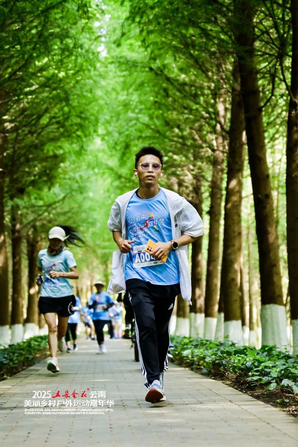 fq, bt, 如画 fq, bt, 如画