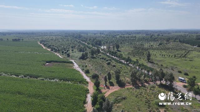 cn, 赛道上 cn, 赛道上