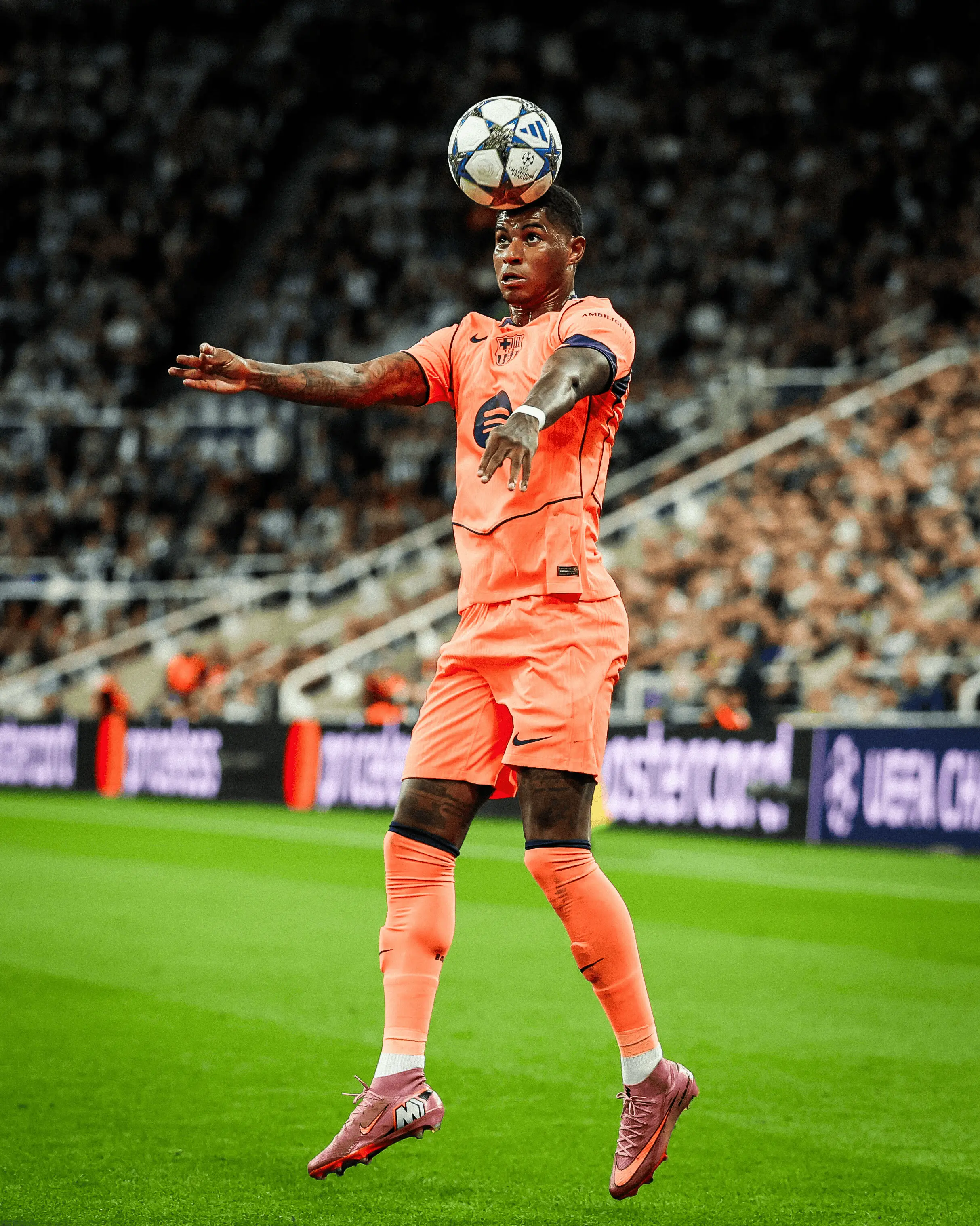 却不曾想精 却不曾想精