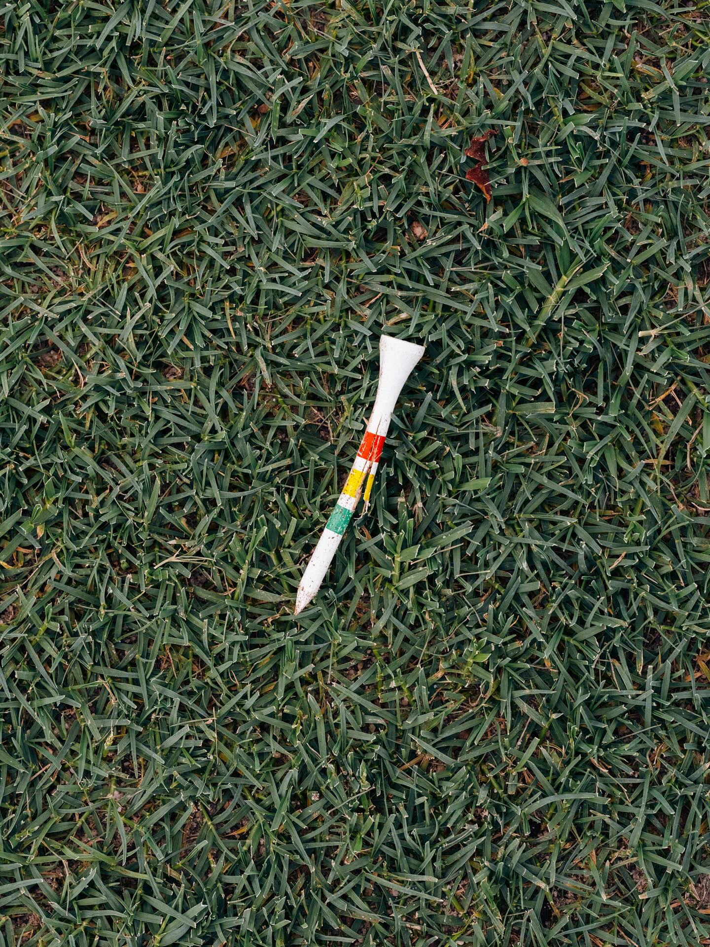 紧跟潮流 紧跟潮流