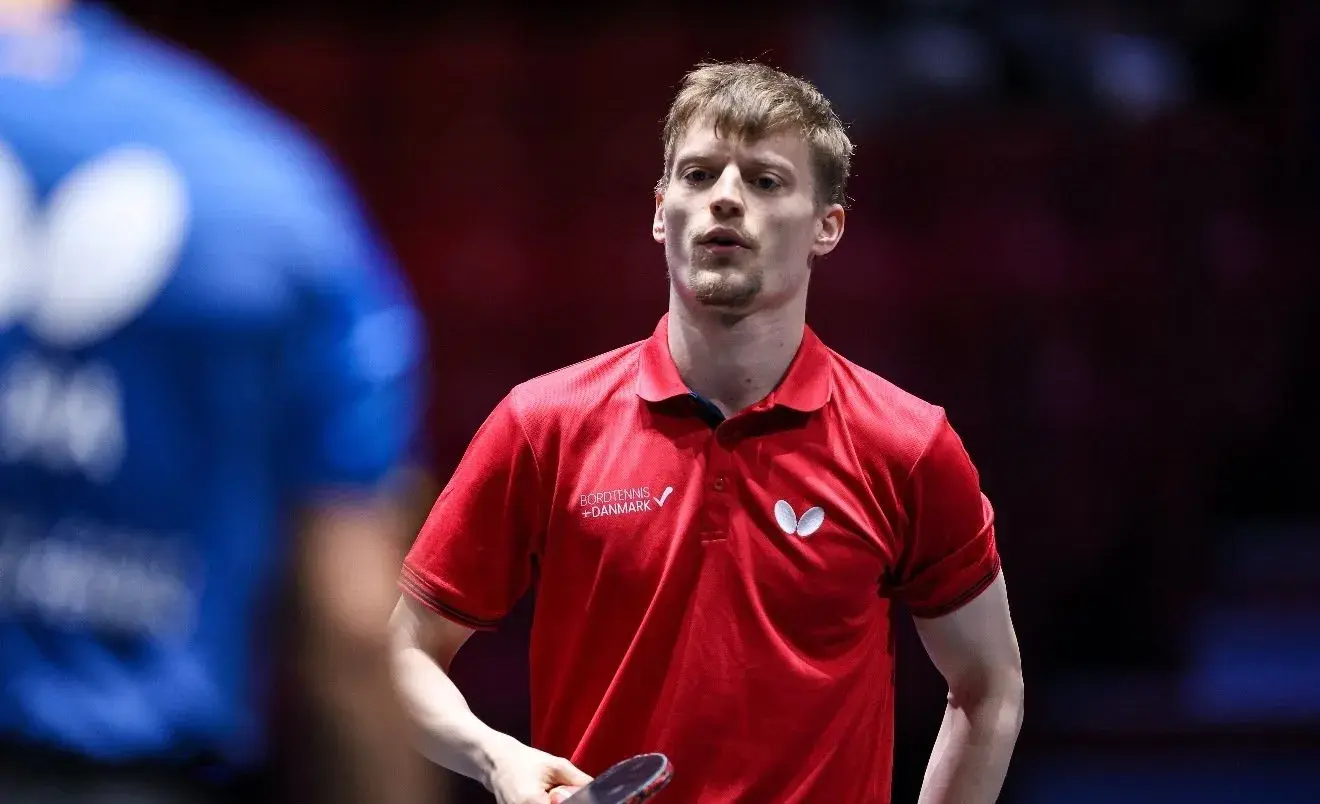 跟张本美和, msn 跟张本美和, msn