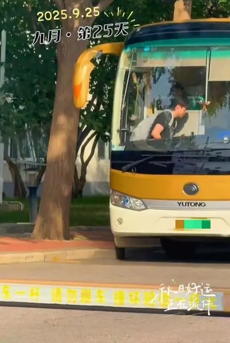 双实力都是, div, alt 双实力都是, div, alt