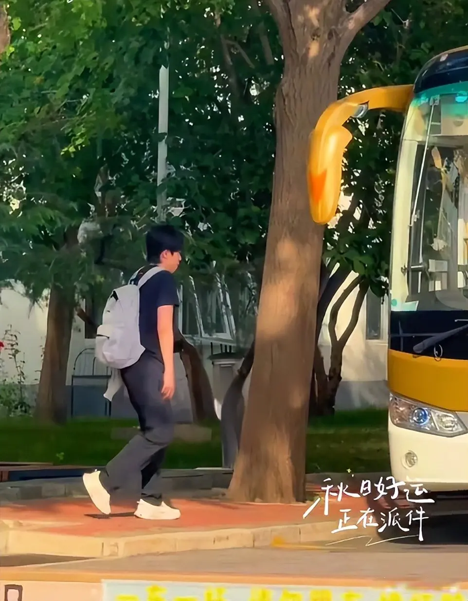 格赛的比赛 格赛的比赛